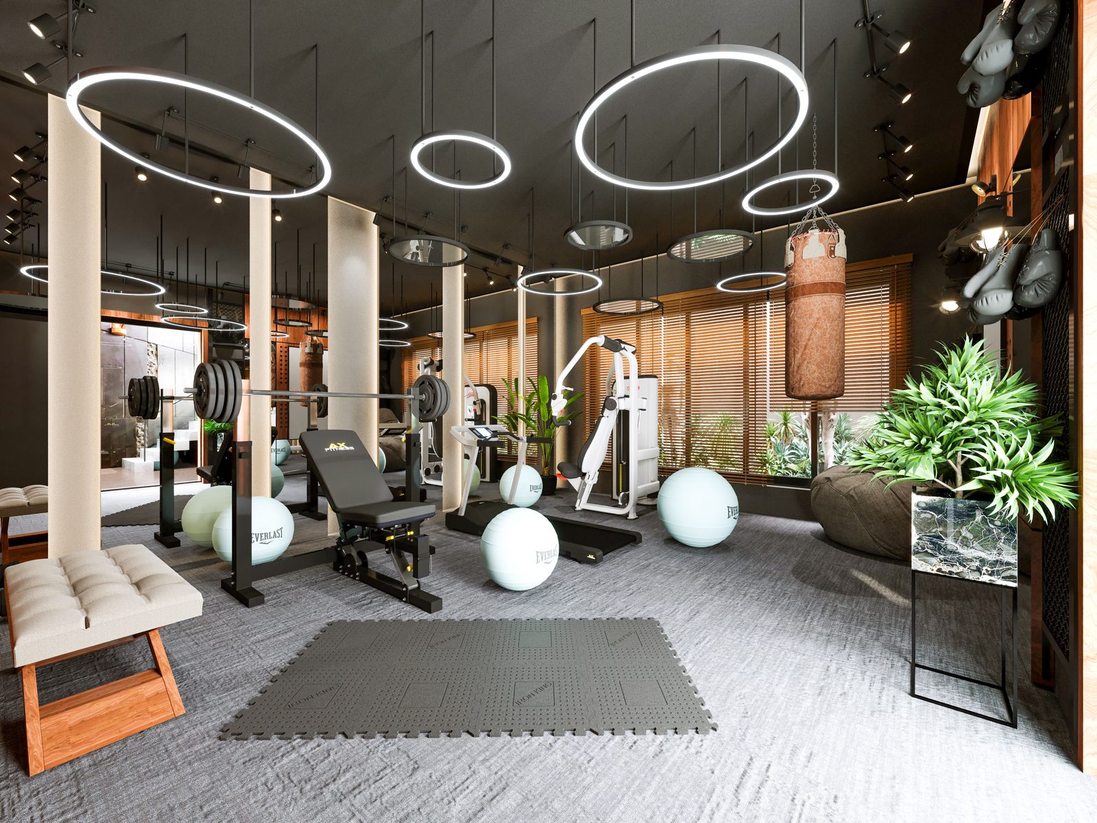 Gym and fitness studio